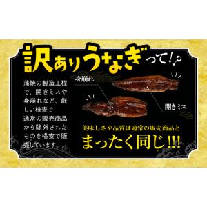 ふるさと納税 うなぎ 愛知県 豊橋市 国産うな...の詳細画像2