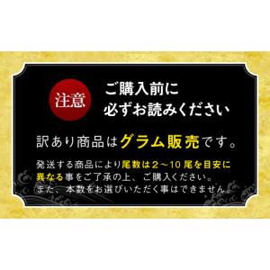ふるさと納税 うなぎ 愛知県 豊橋市 国産うな...の詳細画像3