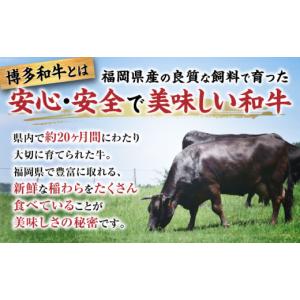 ふるさと納税 牛肉 セット 福岡県 豊前市 半...の詳細画像5