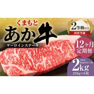 ふるさと納税 牛肉 サーロイン 熊本県 益城町 R8年熊本地震復興支援 12ヶ月定期便 くまもとあか牛 サーロイン 2.0kg（250g×8枚） 牛肉 牛 肉