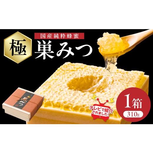 ふるさと納税 加工品等 はちみつ 福岡県 八女市  TVで紹介 はちみつ 国産純粋蜂蜜 極巣みつ 3...