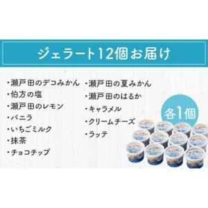 ふるさと納税 アイス・ヨーグルト ジェラート ...の詳細画像5