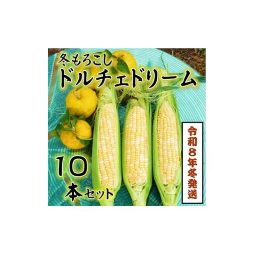 ふるさと納税 とうもろこし 山梨県 南部町  令和8年11月より順次発行 先行受付　朝採り「冬もろこ...