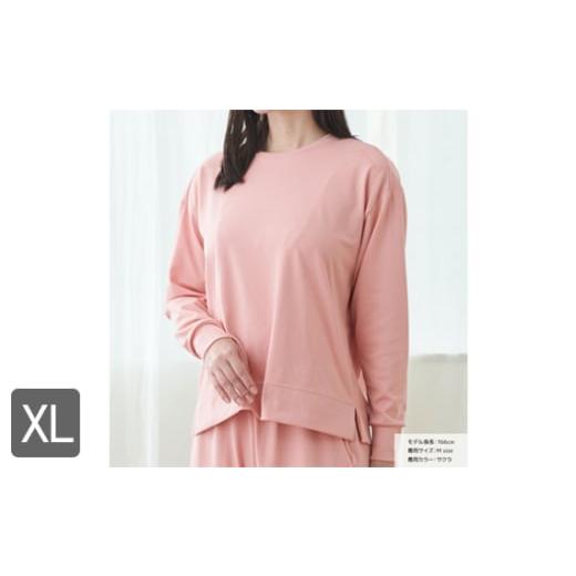 ふるさと納税 服 女 神奈川県 厚木市 スタンダードドライ＋ 一般医療機器 長袖丸首（レディース）サ...