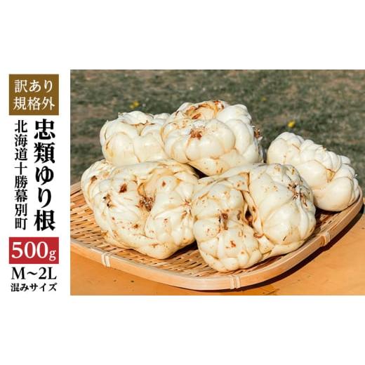 ふるさと納税 人参・大根・他根菜 北海道 幕別町  規格外 十勝幕別 忠類ゆり根 500g（M〜2L...