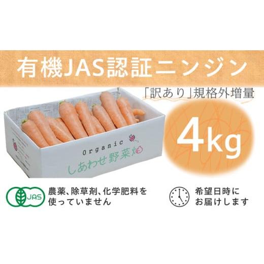 ふるさと納税 野菜類 人参 静岡県 掛川市  フードロス対応・規格外 有機ニンジン 訳あり 冬季限定...