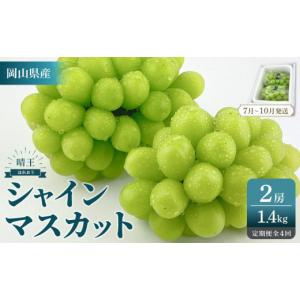 ふるさと納税 ぶどう マスカット 岡山県 岡山市 2026年予約受付中 シャインマスカット 晴王 2房 約1.4kg 4回 定期便 7月・8月・9月・10月に1回ずつお届け シャ…
