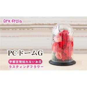 ふるさと納税 雑貨・日用品 栃木県 宇都宮市 PCドーム タイプG