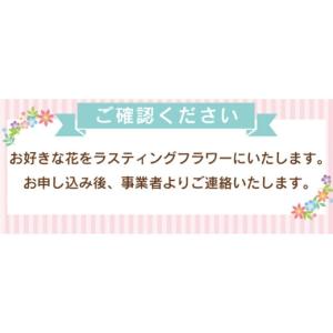 ふるさと納税 雑貨・日用品 栃木県 宇都宮市 ...の詳細画像2