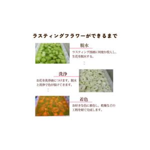 ふるさと納税 雑貨・日用品 栃木県 宇都宮市 ...の詳細画像5