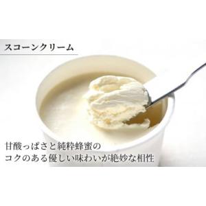 ふるさと納税 焼菓子・チョコレート 岐阜県 多...の詳細画像5