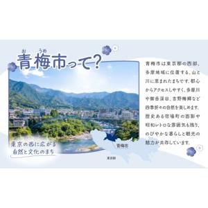 ふるさと納税 食器・グラス 弁当箱 東京都 青...の詳細画像2