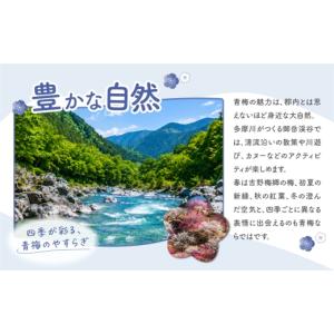 ふるさと納税 食器・グラス 弁当箱 東京都 青...の詳細画像3