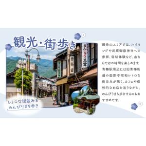 ふるさと納税 食器・グラス 弁当箱 東京都 青...の詳細画像4