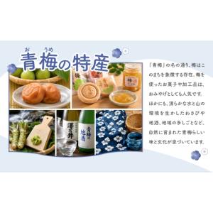 ふるさと納税 食器・グラス 弁当箱 東京都 青...の詳細画像5