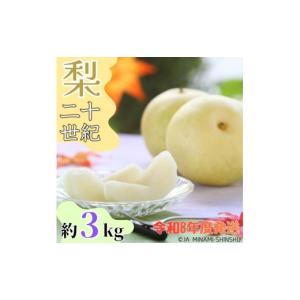 ふるさと納税 梨 長野県 喬木村 8-J33 南信州産 20世紀梨 太鼓判 約3kg　8玉〜10玉