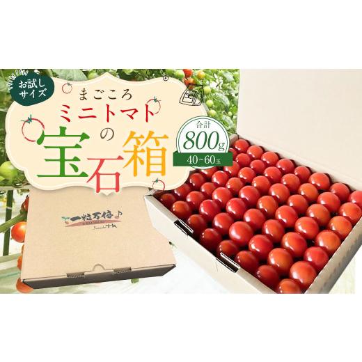 ふるさと納税 トマト ミニトマト 大分県 竹田市 お試しサイズ まごころミニトマトの宝石箱 800g...