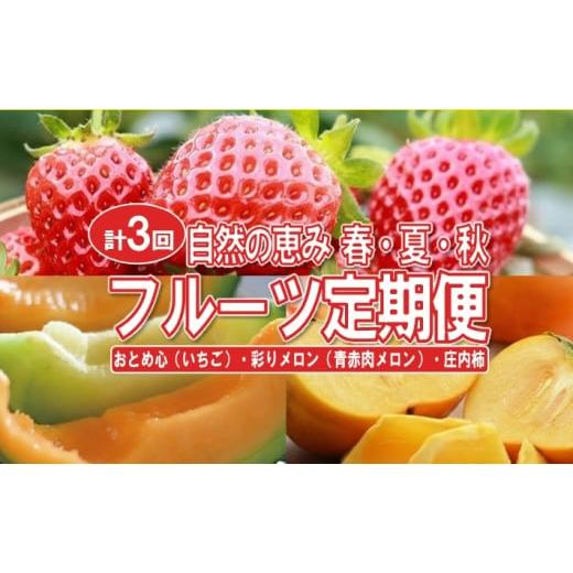 ふるさと納税 いちご 山形県 酒田市  3回定期便 自然の恵み 春・夏・秋フルーツ定期便(2)202...