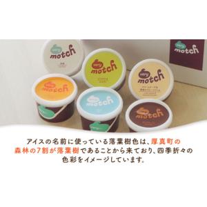 ふるさと納税 アイス・ヨーグルト ジェラート ...の詳細画像5