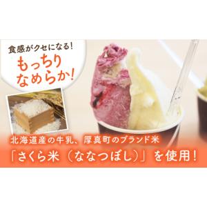 ふるさと納税 アイス・ヨーグルト ジェラート ...の詳細画像2