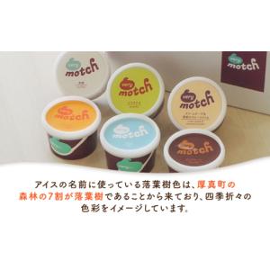 ふるさと納税 アイス・ヨーグルト ジェラート ...の詳細画像5