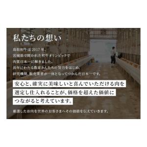 ふるさと納税 牛肉 セット 鳥取県 三朝町 和...の詳細画像5