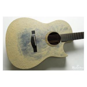 ふるさと納税 楽器 ギター・ベースギター 富山...の詳細画像2