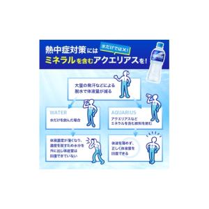ふるさと納税 飲料類 兵庫県 明石市 アクエリ...の詳細画像5
