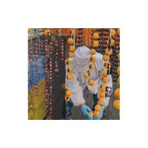 ふるさと納税 果物類 柿 長野県 高森町 数量...の詳細画像2
