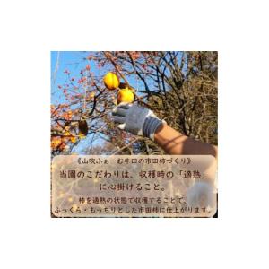 ふるさと納税 果物類 柿 長野県 高森町 数量...の詳細画像3