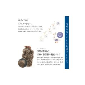 ふるさと納税 タオル・寝具 掛け布団 山梨県 ...の詳細画像4