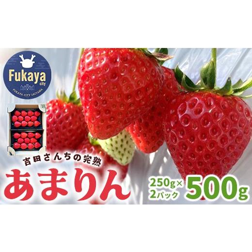 ふるさと納税 いちご 埼玉県 深谷市 吉田さんちの完熟苺「あまりん」　500g　 11218-084...