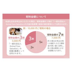 ふるさと納税 生き物 福岡県 筑紫野市 愛護支...の詳細画像3