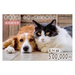 ふるさと納税 生き物 福岡県 筑紫野市 愛護支...の詳細画像1