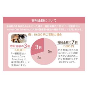 ふるさと納税 生き物 福岡県 筑紫野市 愛護支...の詳細画像3