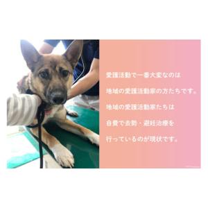 ふるさと納税 生き物 福岡県 筑紫野市 愛護支...の詳細画像4