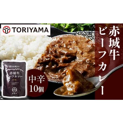 ふるさと納税 加工品等 レトルト 群馬県 渋川市 赤城牛 ビーフカレー（中辛）200g×10個 《ご...