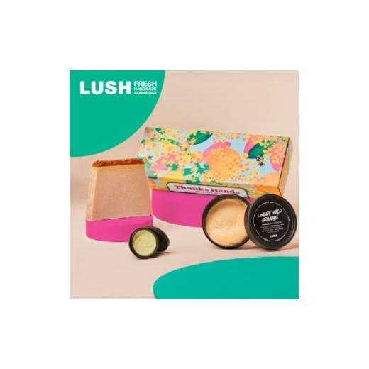 ふるさと納税 美容 神奈川県 愛川町 LUSH ラッシュ サンクスハンズ ハンドケア ギフト セット...