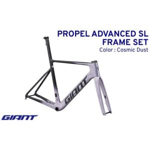 ふるさと納税 自転車 愛媛県 松前町 フレームのみ GIANT PROPEL ADVANCED SL FRAMESET（カラー：Cosmic Dust）｜ ジャイアント ロードバイク 自転車 レース …