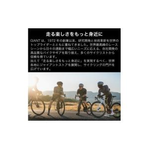 ふるさと納税 自転車 愛媛県 松前町 フレーム...の詳細画像4