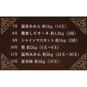 ふるさと納税 果物類 宮崎県 新富町 旬のくだ...の詳細画像3