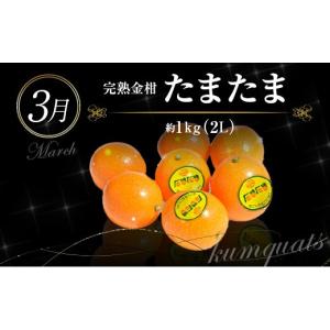 ふるさと納税 果物類 宮崎県 新富町 旬のくだ...の詳細画像4