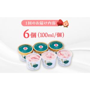 ふるさと納税 いちご 福岡県 桂川町 全12回...の詳細画像4