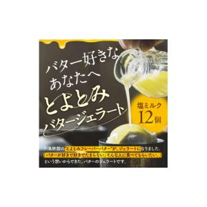 ふるさと納税 アイス・ヨーグルト ジェラート ...の詳細画像2