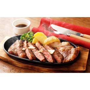 ふるさと納税 牛肉 サーロイン 熊本県 高森町 12ヶ月定期便 くまもと あか牛 サーロイン 2.0kg（250g×8枚） 熊本 牛肉 お肉 ステーキ 和牛