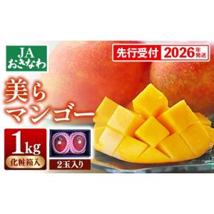 ふるさと納税 マンゴー 沖縄県 八重瀬町 化粧箱入 先行受付・2026年発送 美らマンゴー約1kg 大玉2玉 - 先行予約 JAおきなわ 産地直送 南国フルーツ 贈り物 ギ…