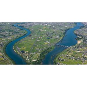 ふるさと納税 美容 岐阜県 羽島市 チョウチョ...の詳細画像5