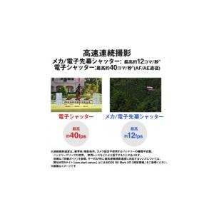 ふるさと納税 TV・オーディオ・カメラ 神奈川...の詳細画像3