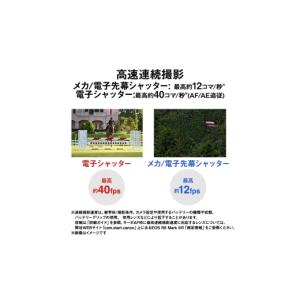 ふるさと納税 TV・オーディオ・カメラ 神奈川...の詳細画像3