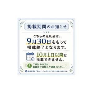 ふるさと納税 TV・オーディオ・カメラ 神奈川...の詳細画像4